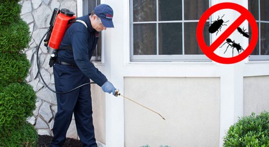 Yıkıkkemer Fare İlaçlama böcek ilaçlama ve haşere kontrolü — ilaclama-tr.com